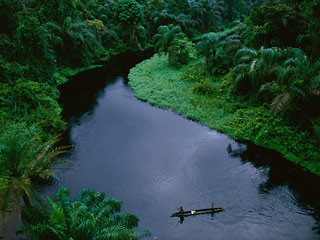 congo_rainforest.jpg