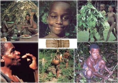 copngo_origine.jpg