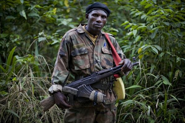 fdlr.jpg