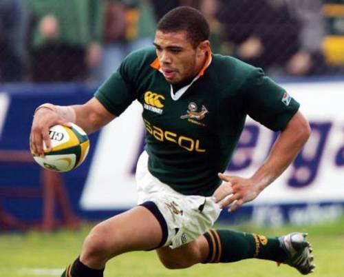 springboks.jpg