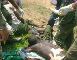 fardc-pareco.jpg