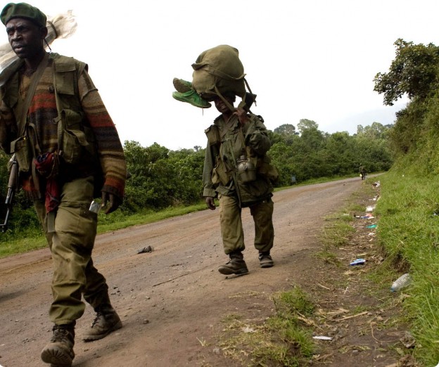 pillards_fardc_2.jpg