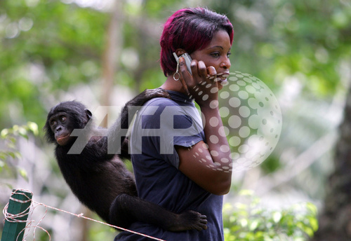 lola_ya_bonobo.jpg
