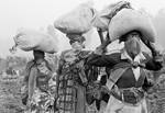1994_drc_rwanda_refugees.jpg